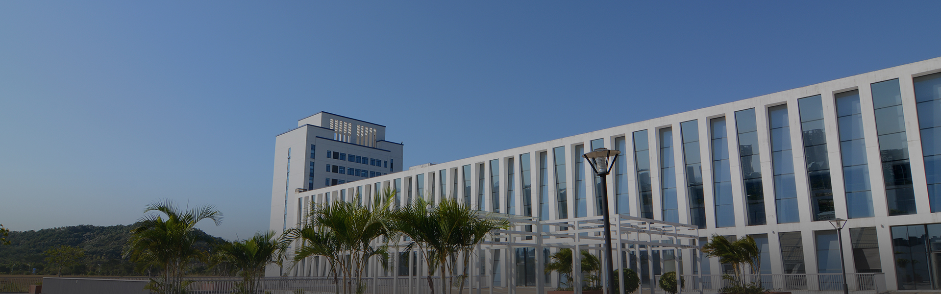 科技創(chuàng  )新